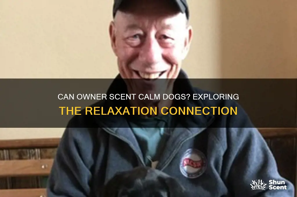 does owner scent help dogs relax