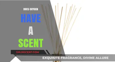 Does Oxygen Have a Scent? Unraveling the Mystery of Air's Odor