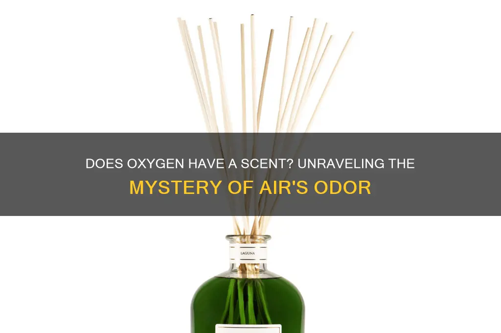 does oxygen have a scent