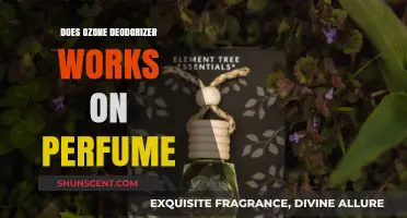Ozone Deodorizer: Effective for Neutralizing Perfume Odor?
