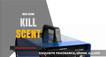 Ozone's Power: Eliminating Odors or Just Masking Scents?