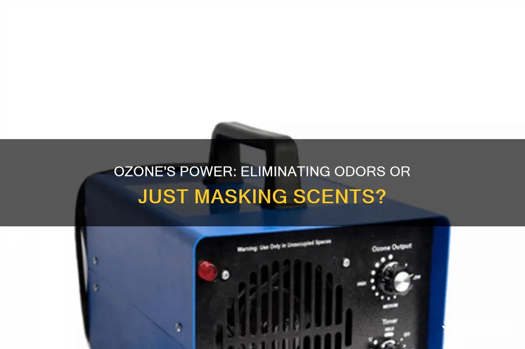 does ozone kill scent
