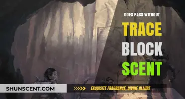 Does Pass Without Trace Spell Block Scent Tracking in D&D 5e?