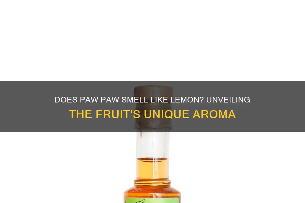 does paw paw have a lemon scent