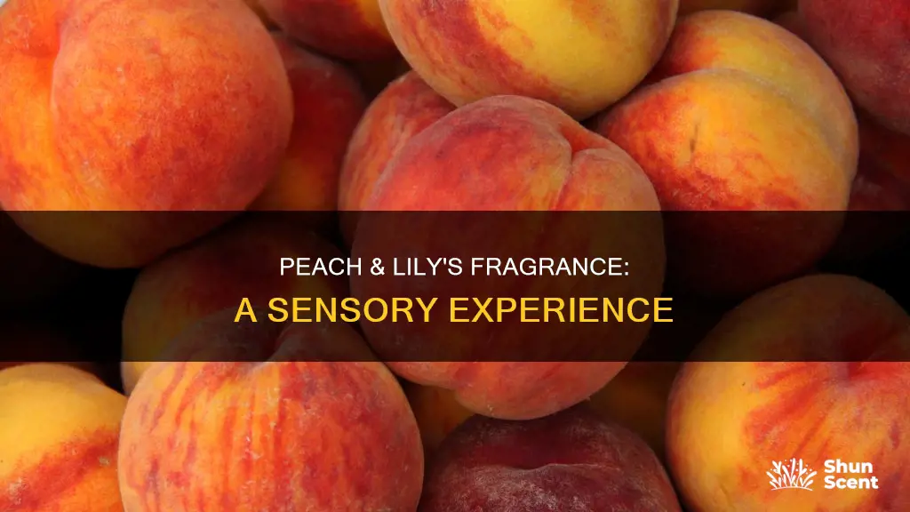 does peach and lily have fragrance