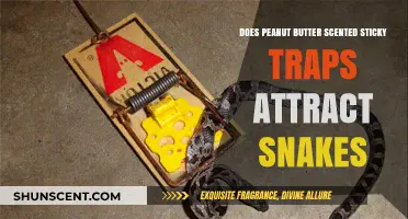 Peanut Butter Scented Sticky Traps: Do They Attract Snakes?