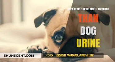 Exploring the Myth: Human vs. Canine Urine Odor Intensity