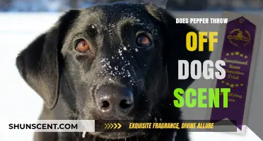 Can Pepper Disrupt a Dog's Scent Tracking Abilities Effectively?