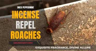 Peppermint Incense: Roach Repellent or Just a Nice Smell?