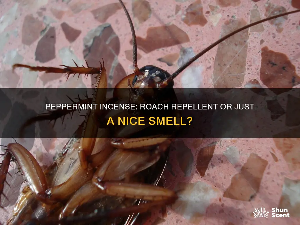 does peppermint incense repel roaches