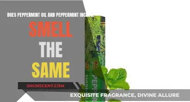 Peppermint Oil and Incense: Different Aromas, Same Peppermint?