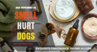 Can Peppermint Oil's Aroma Be Harmful to Dogs?