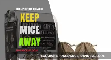 Peppermint Power: Can Its Scent Effectively Deter Mice at Home?