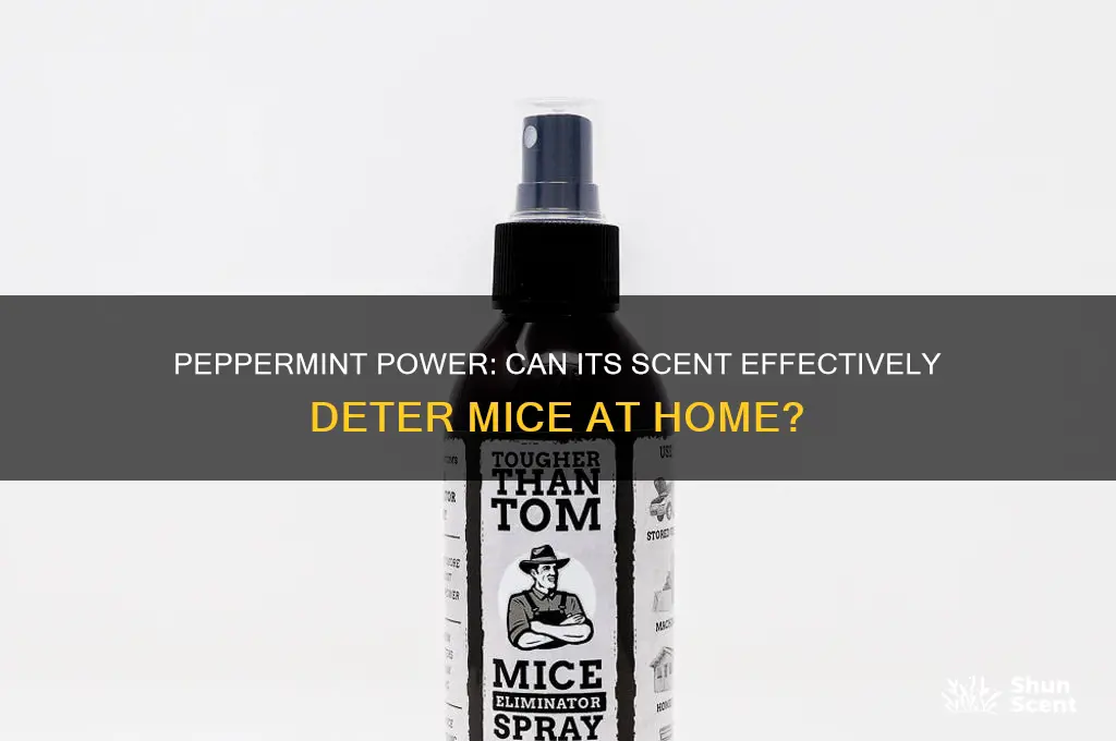 does peppermint scent keep mice away