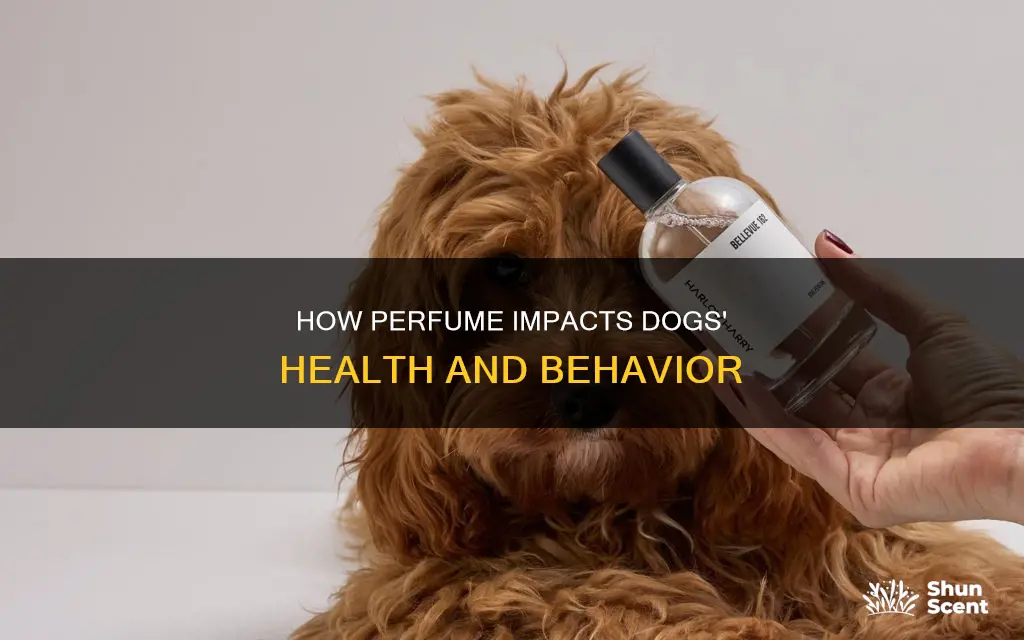 does perfume affect dogs