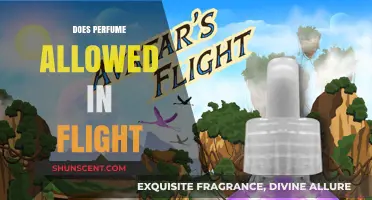 Can You Bring Perfume on a Plane?