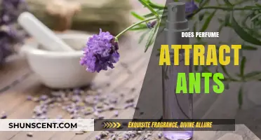 Perfumes: An Ant Magnet or Not?