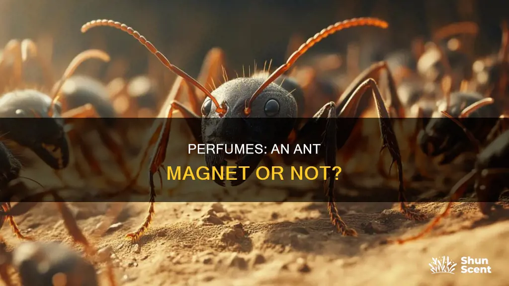 does perfume attract ants