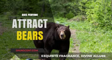 Perfumes and Bears: What's the Real Deal?