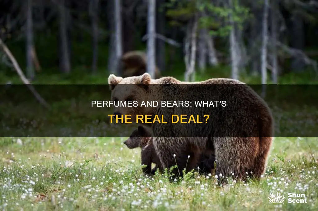 does perfume attract bears