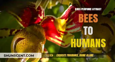 How Perfume Attracts Bees to Humans