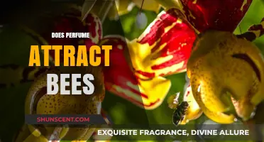 Do Scents Attract Bees? The Surprising Truth