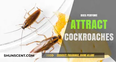 Cockroaches and Scents: What's the Real Deal?