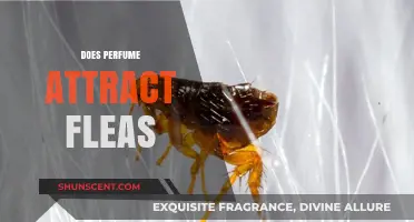 Perfumes and Fleas: A Fragrant Attraction?
