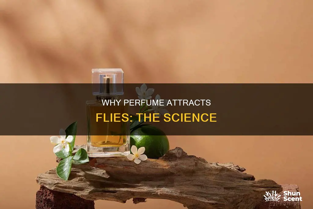 does perfume attract flies