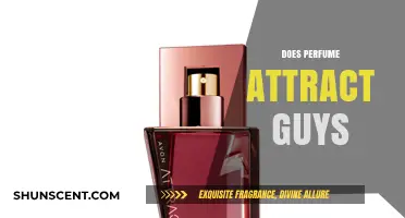 How Scents Entice Men: A Guide to Perfumes
