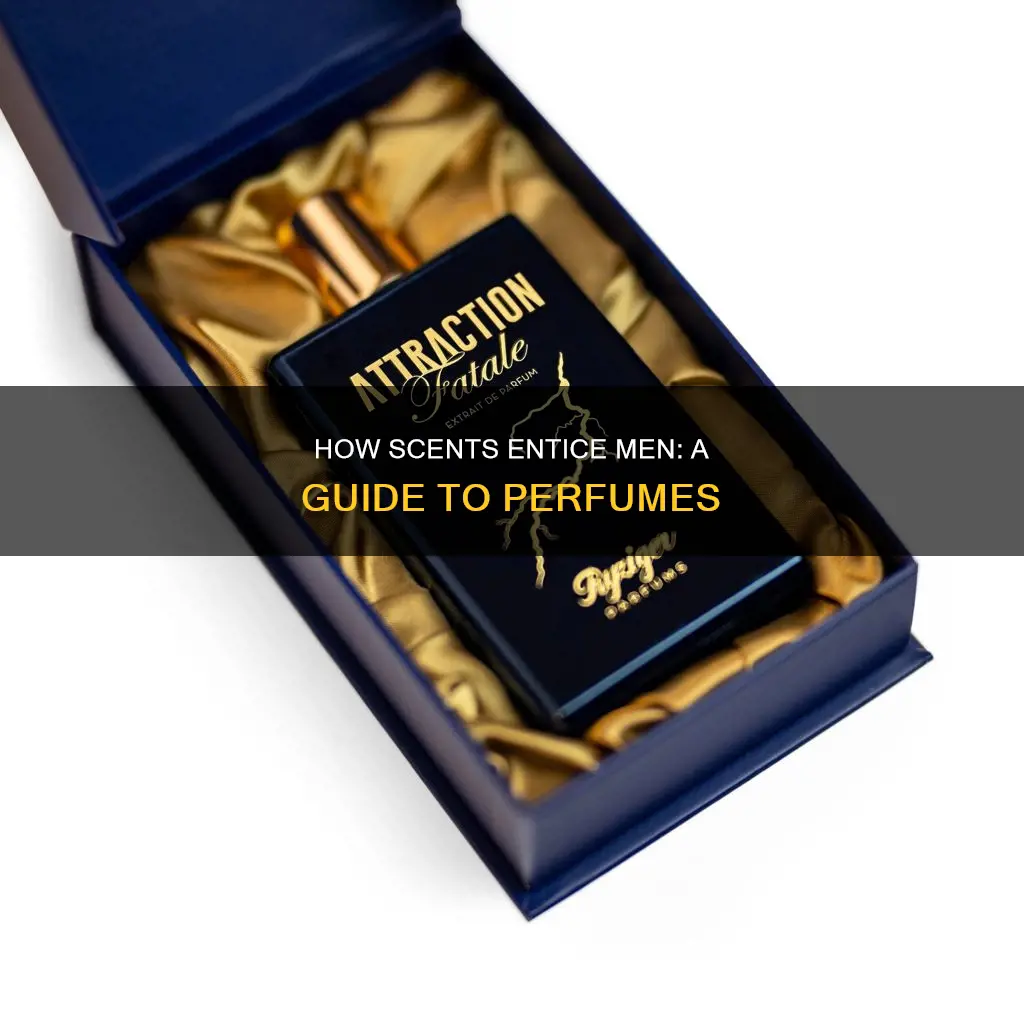 does perfume attract guys