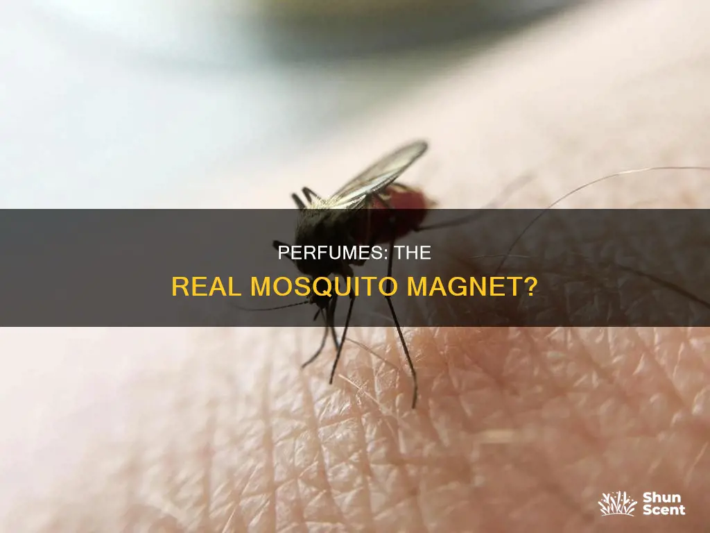 does perfume attract mosquitos