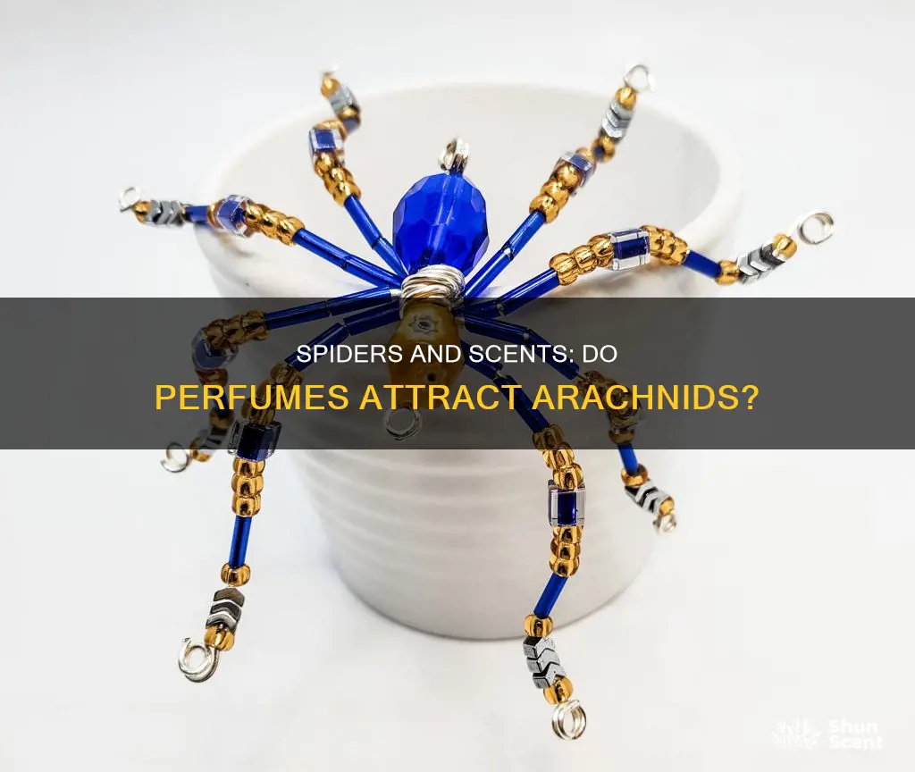 does perfume attract spiders