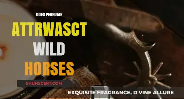 Perfumes Attracting Wild Horses: A Myth or Reality?