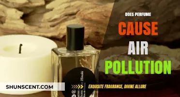 Perfumes: Air Polluters or Not?