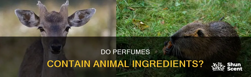 does perfume contain animal products