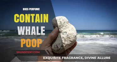 The Stinky Truth: Whale Poop in Perfumes