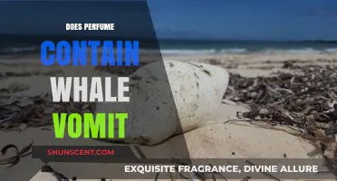 The Truth About Whale Vomit in Perfumes