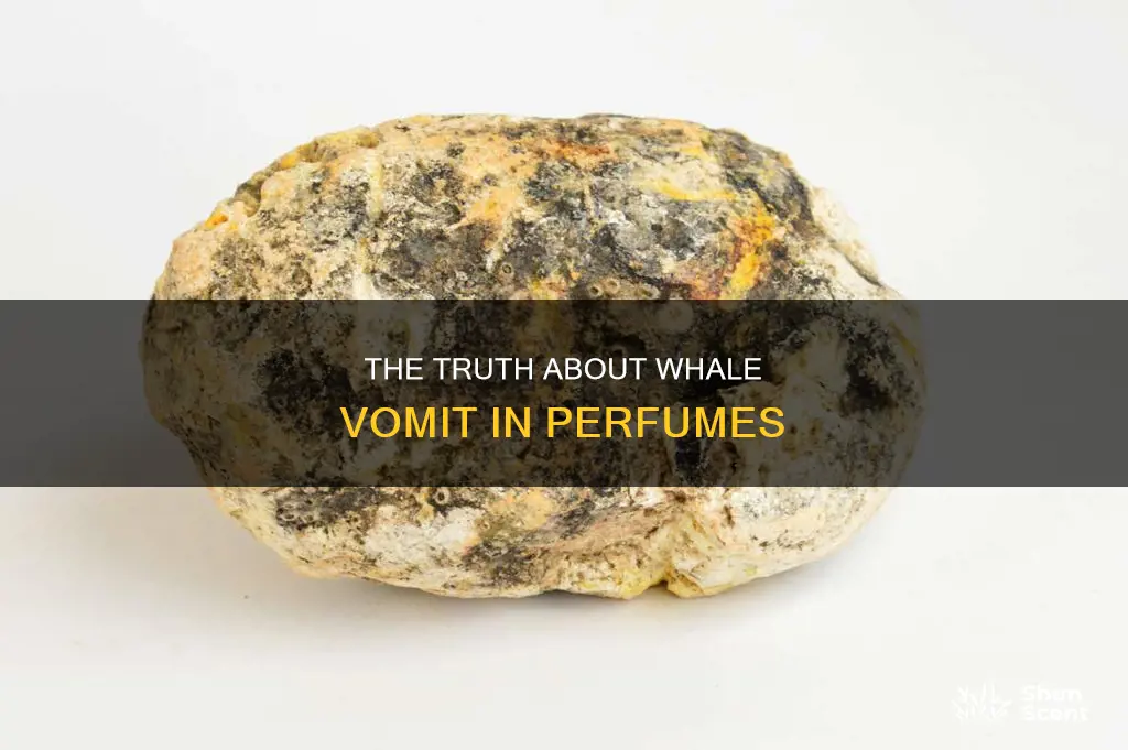 does perfume contain whale vomit