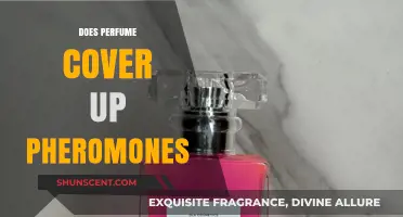 How Scents Interact: Pheromones and Perfume