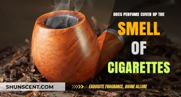 Perfume vs. Cigarette Odor: Can Fragrance Win?
