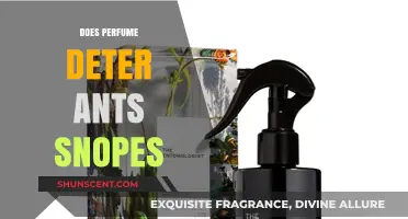 Perfume to Repel Ants: Does It Work?