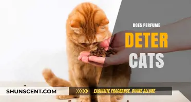 How Scents Keep Cats Away