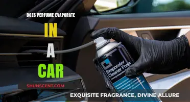 How Long Does Car Perfume Last?