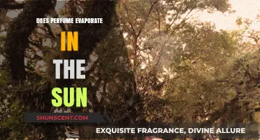 Sun Exposure: Does It Affect Perfumes?