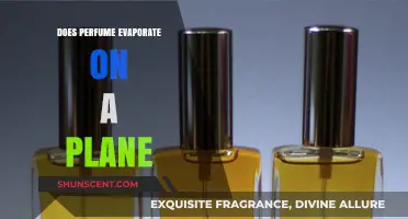 How Long Does Perfume Last on a Plane?