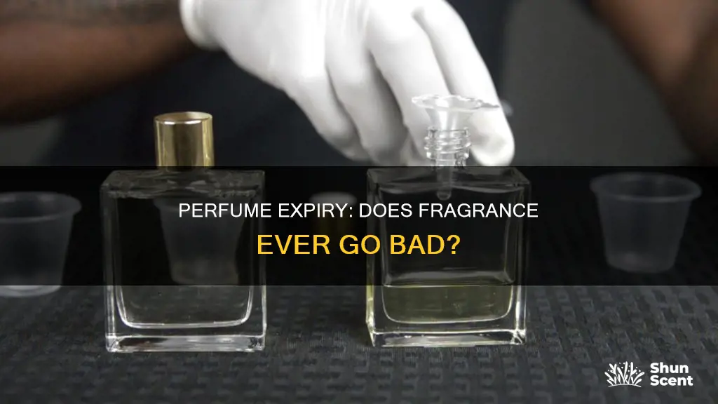 does perfume ever go bad