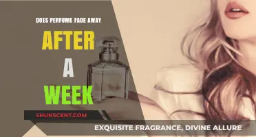 The Longevity of Scents: Do Perfumes Fade Away?