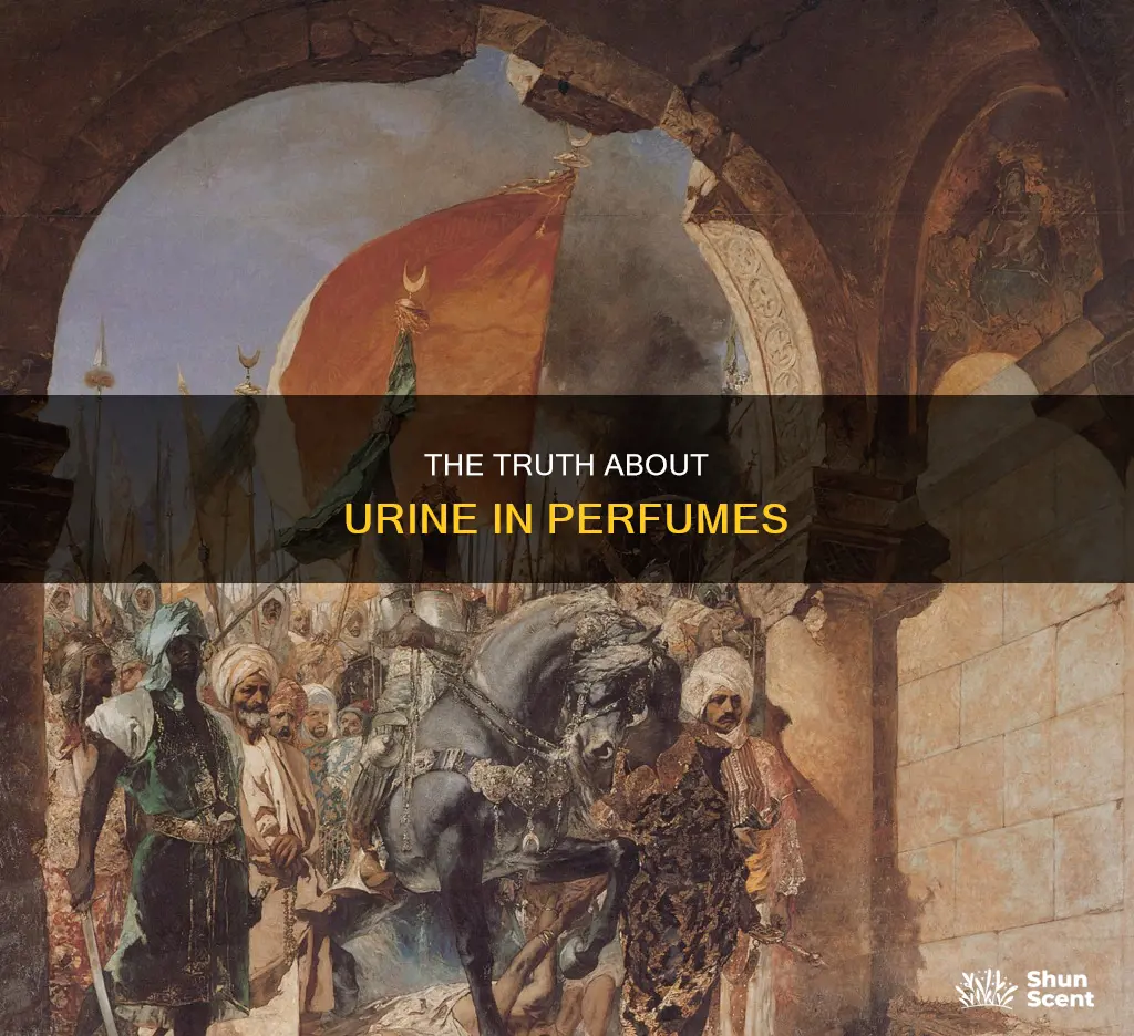 does perfume have urine in it
