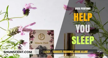 Aromatic Sleep: Can Scents Help You Sleep Better?